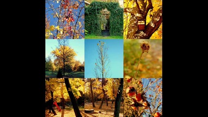 Andy Duguid feat. Leah - Miracle Moments 