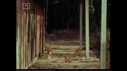 Ласи - Бг Аудио, Епизод (1965) - Изгубеното кученце