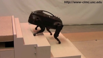 Куче робот с много съвършена динамика способно да се придвижва през много трудни терени!