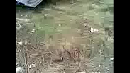 Clip.3gp