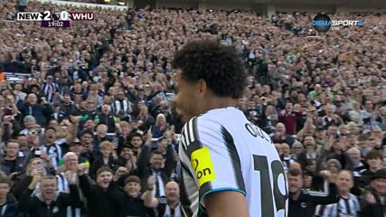 Goal by Newcastle United