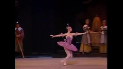 The Sleeping Beauty Kirov/marinsky Ballet 7