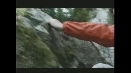 Podium - Timberland