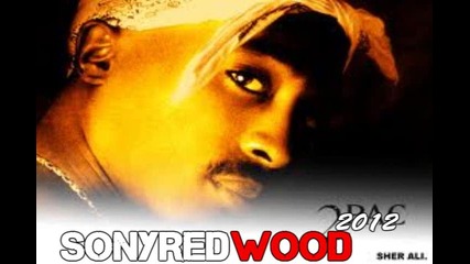 2pac-makaveli The Don Sabimixx 2010