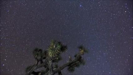 An_eisai_ena_asteri_vertis_2011