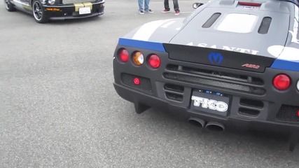 2009 Gumball 3000 - Shelby Supercars Ultimate Aero 