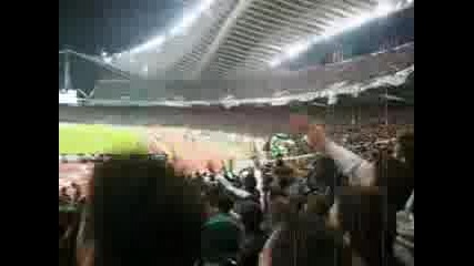 Panathinaikos Fans 2