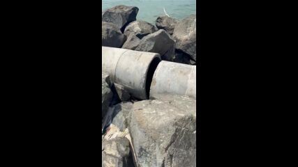 Замърсяване на морето край Свети Влас