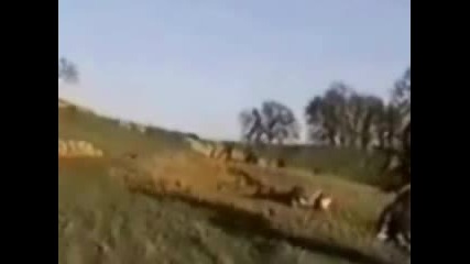 Пребиване С Бъги