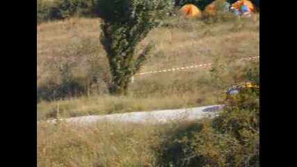 Рали България 2010