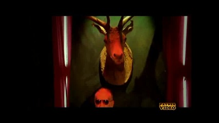 Камелия - Orgasm 