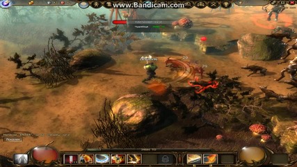 Drakensang Online (gameplay) Hd