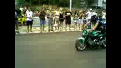 stz sabor