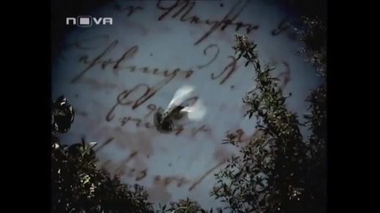Незабравима (сезон 1 - епизод 20)