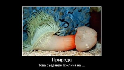 Най-откачените снимки събрани от Нета