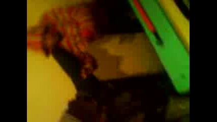 Boksiora Qnek