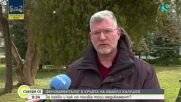 Фенобарбиталът в кръвта на Ивайло Калушев: Какво представлява и какви са ефектите му?
