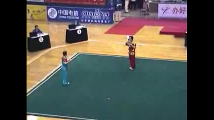 Kung Fu - Wushu - Toicha Spear x 2 Broadswords
