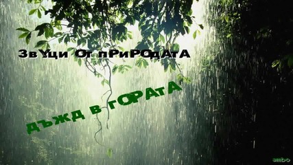 Звуци от природата - Дъжд в гората 