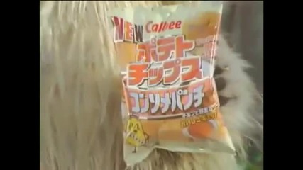 Wtf Japan Seriously.com (hq)