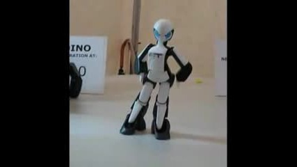 Ft Robot Catwalk