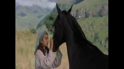 The Young Black Stallion - Here I Am