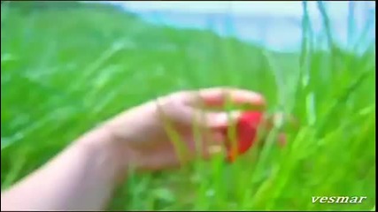 Liverpool Express - You are my love 1976