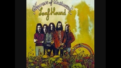 Leaf Hound - Hip Shaker 