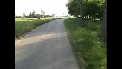 Mz Etz 251 speed