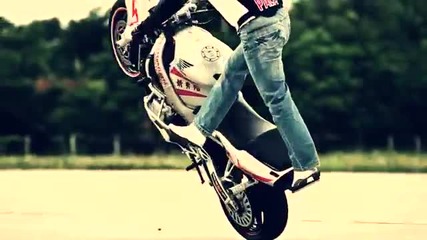 Stunt [ Palatinus Attila ]