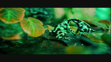 Dinka - My Love Will Surround You