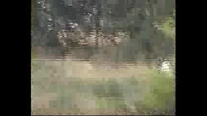Cz cross 380 kb