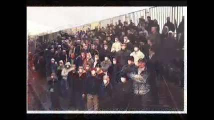 Swedish & Italian Hooligan Crazy Video 