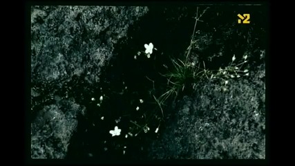 Варвара - Грёзы mpeg2video
