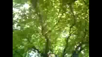 Мото - Събор