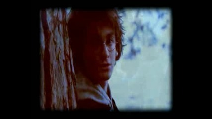 Harry Ginny - Apologize