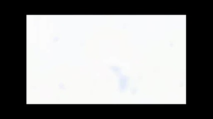 Crysis Warhead Trailer Hq.wmv