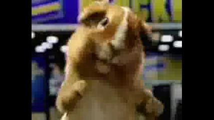 Carl & Ray Dancing