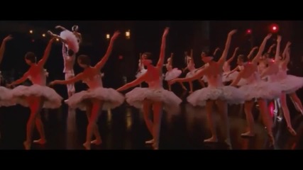Black Swan Illuminated