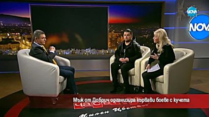 Мъж от Добрич организира кървави боеве с кучета