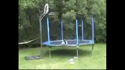 Basketball - Trampolin