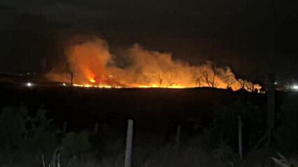 Пожар в землище край Бургас