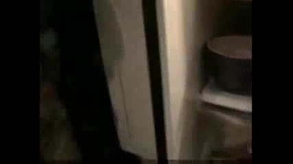Момче вижда омар и се плаши! :д