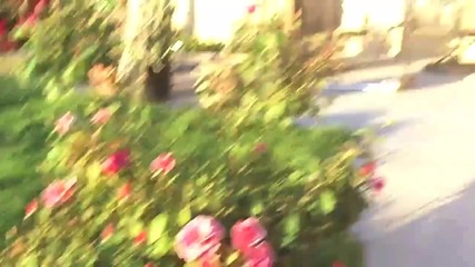 Момиче плаши гаджето си със змии