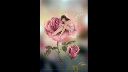Fairy 