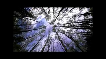 Kemal Balci-ay Mavisi