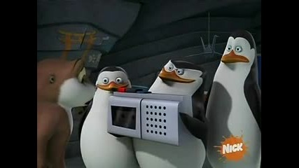 The Penguins of Madagascar - Haunted habitat 