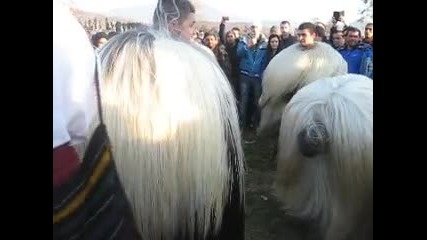 Kukeri Mn Krasivi