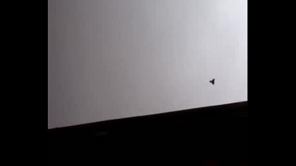 бат лазо72