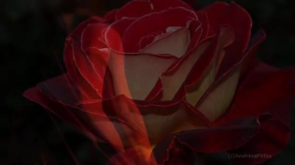 Giovanni Marradi - Maryanne's Theme- album Romantico